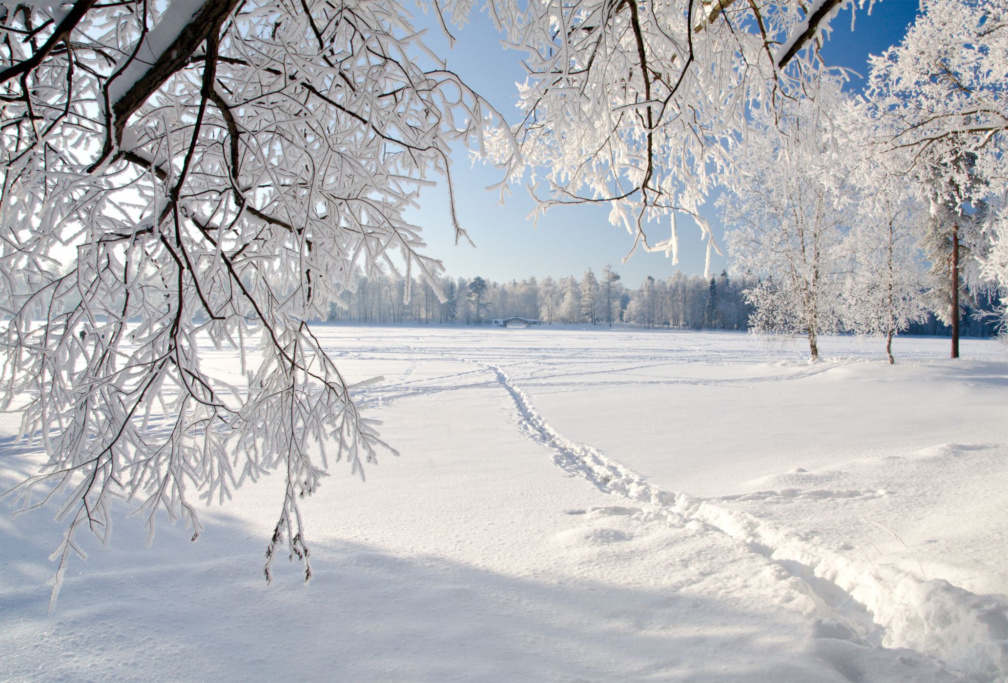 UKV Snow Charts - Real Weather - Accurate UK Weather Forecasts